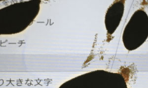 iPhone画面に黒いシミ